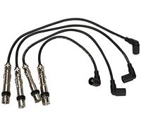 Beru AG 0300891629 - Kit Cavi Accensione