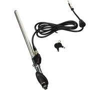 Beru AG 0460100202 - Antenna