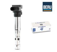Beru BERZSE059 Modulo Accensione Bobina Per Seat Ibiza III 6L1 Skoda VW Polo 9N