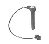 Beru Mv Augusta Brutale 910/990 12v-con Cable Ignition Coil Argento