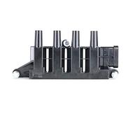 BorgWarner (BERU) Bobina d'accensione BEZS079 12V
