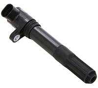 BorgWarner (BERU) Bobina d'accensione AG 0040100322 - ZS322 - raccordo SAE