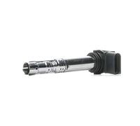 BERU Bobina d'accensione ZSE031 per VW, Audi, Bentley, Passat (3B6), Touareg