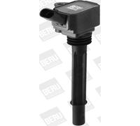 BorgWarner (BERU) ZS588 Bobina d'accensione