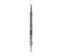 Candela incandescente Con emissione bagliore residuo CGP007 BorgWarner (BERU)