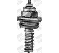 Candeletta, riscaldatore di parcheggio BORG WARNER (BERU) GHA 408