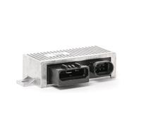 Centralina candelette Con emissione bagliore residuo GSE129 BorgWarner (BERU)