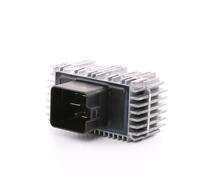 Unità di controllo, tempo di incandescenza BORG WARNER (BERU) GSE143