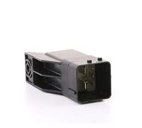 BorgWarner (BERU) Centralina, Tempo incandescenza per FIAT FORD MITSUBISHI