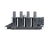 BorgWarner (BERU) Bobina d'accensione BEZS079 12V