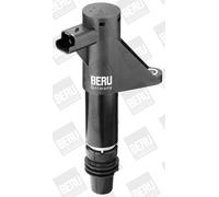 BorgWarner (BERU) Bobina d'accensione per CITROËN FIAT PEUGEOT RENAULT
