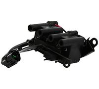 BERU Bobina d'accensione