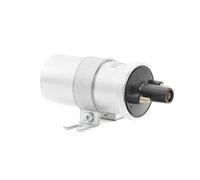 Bobina di accensione Tipo di raccordo DIN ZS563 BorgWarner (BERU) per BMW AUDI