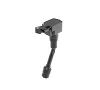 Bobina di accensione Tipo di raccordo SAE ZSE215 BorgWarner (BERU) per FORD