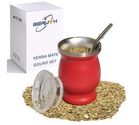 Beruth Zucca Bombilla Yerba Mate, set di tazza da tè in acciaio inossidabile da 8 once con coperchio multifunzionale, due cannucce e spazzole per la pulizia, tazza da caffè a doppia parete (Rosso)