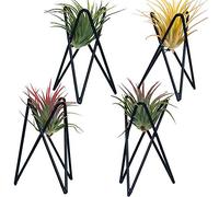 Besimple Confezione da 4 supporti per piante aeree, base tillandsia, moderna geometrica in metallo, espositore per piante aeree, grande streptophylla da tavolo, per decorazione di casa e ufficio