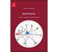 Besinnung. Scienza, complessità, fenomenologia
