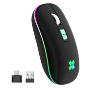 besky Mouse wireless ricaricabile, con retroilluminazione a LED, portatile, silenzioso, per laptop, PC, MacBook, Chromebook, notebook, mouse senza fili USB 2.4 G con interfaccia di conversione USB-C