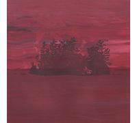 Besnard Lakes - The Besnard Lakes Are The Divine Wind