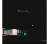 Besnard Lakes - Volume 1