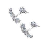 BESPORTBLE 1 Paio orecchini a bottone da donna orecchino Orecchini per le donne artiglio Nozze earrings for women mothers day present Orecchini da donna accessori per le orecchie zircone Silver