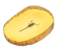 BESPORTBLE 1 pz ambra insetto fossile insetto ambra artificiale esemplare ciondolo scorpioni insetti ambra pietra decorazione ovale per amici bambini bambini (Scorpione)
