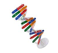 BESPORTBLE 1Set Dna Doppia Didattico per Sussidio Insegnamento per Comprendere Struttura Del Dna e Sua nella Replicazione e Mutazione