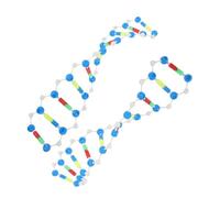 BESPORTBLE 2 Kit Dna Doppia Struttura Didattica Biologia Scientifico per Studenti e Educativo per Apprendimento e Visualizzazione Molecolare
