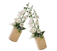 BESPORTBLE 2 Mini Verde Piante Decorativo Da Te In Miniatura Carino Casa Piccolo Bonsai Simulazione In Vaso Minuscolo Falso
