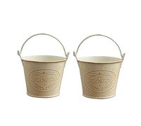 BESPORTBLE 2 Pezzi Fioriera in Ferro Piante Fioriera Da Parete Pianta Arredamento Galvanizzato Vaso Retrò Tulipani Mini Secchi Arredamento Esterno Fioriere Casa Ferro Da Stiro