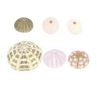BESPORTBLE 2 Set di Decorazioni Marine Naturali per Acquari Ornamenti per Acquari Decorazioni Marine Realistiche E Sicure 6 Pezzi * 2