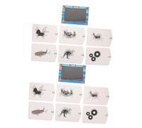 BESPORTBLE 2 Set Gioco Stem Educativo per Apprendimento Illusioni Ottiche e Progetti Creativi DIY