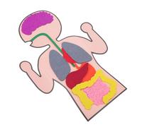 BESPORTBLE 3 set Modelli Creativi di Organi Umani per Kit DIY Educativo per Apprendimento Cognitivo Giocattoli Didattici Facili da Assemblare per Sviluppo Intellettivo e Manuale