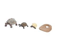 BESPORTBLE 4 Figurine Tartarughe Realistiche Ciclo Della Testuggine Giocattoli Educativi per Decorazioni Animali Colorate e Resistenti per Progetti Scolastici e Giardino Colore Casuale