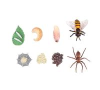 BESPORTBLE 8pezzi Modelli Di Simulazione e Evoluzione in Plastica Ecologica Sicura e Durevole Giocattoli Realistici Per Sviluppare Immaginazione Regali Per Ragazzo Ragazza Ragazza e Decorazio