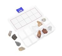 BESPORTBLE Campioni Di Rocce Geologiche Per Ragazzo Ragazza Con Espositori Di Minerali Fossili e Strutture Lucenti Per Apprendimento Casa Classe Include Guida All'identificazione e Scatola Di