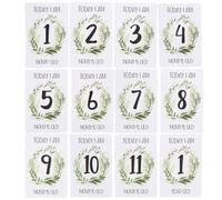 BESPORTBLE Cartoline per Tappe Mensili del 12 Pezzi Accessori Fotografici per Ragazzo Ragazza Area Annotazioni Sfondo per Foto di Crescita Mensile per Social Media e Ricordi Familiari