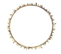 BESPORTBLE di spine Accessorio per costumi per adulti di tiara Crown perla del re per gli uomini Rinascimento corone copricapo elfo elfica Metallo Golden