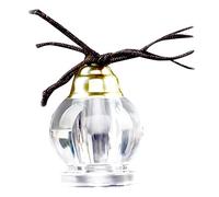 BESPORTBLE Il Ciondolo Voliera Di Buddha Piccolo Collana Pendente Diffusore Di Olio Essenziale Diffusore D'olio Collana Bottiglia Di Profumo Aromaterapia Di Moda Acrilico
