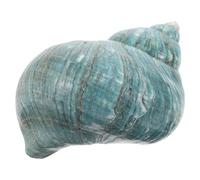 BESPORTBLE Sea Shells for Crafting Nautical Decor Large Natural Conch Shell Hands On Education Toy for Children
