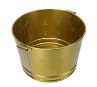 BESPORTBLE Secchio Brucia-denaro in Acciaio Inox Dorato per Uso Domestico e Giardino, Contenitore Sacrificale per Combustione Carta e Foglie, Inceneritore Tradizionale Resistente e Facile da Pulire