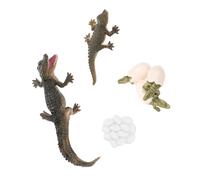 BESPORTBLE Set Di Figure Del Ciclo Di Del Coccodrillo Per Ragazzo Modelli Educativi Realistici in Plastica Resistente Giocattolo Didattico Per Apprendimento Tematico e