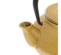 BESPORTBLE Teiera in Ghisa Piccola da Tè Kung Fu Manico Bollitore Resistente al Calore per Fornelli a Gas e Induzione Teiera da Viaggio in Stile Cinese per Casa e Amici