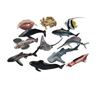 Besreey Falso Pesce - Modello Cognitivo - Modelli di Pesce Artificiali - per Bagno Scuola di Apprendimento Casa Esterna Famiglia Tempo di Gioco In Classe Educazione Esplorazione