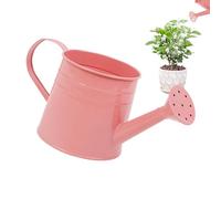 Besreey Innaffiatura interna, piccola scatola di irrigazione per gli interni,1 l irrigazione esterna può con un lungo | secchio per la disposizione dei fiori, vaso in metallo per la casa e l'hotel