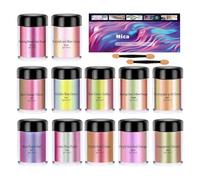Besreey Polvere Di Mica Per Resina,Colore Cambiante Perlato 12 Bottiglie,Kit Pigmenti Colorati Polvere Resina Scintillante | Per Candela Smalto Per Unghie Lucido Labbra Pittura Tintura Artigianato