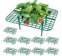 Besreey Supporti per fragole, set di 10 fragole, supporto per fragole, supporto per fragole, supporto per fragole, protezione naturale contro le lumache, griglia di fragole e muffa