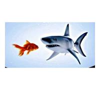 Best Divers Copri Cinghiolo Per Maschera Sub Double Layer Tape