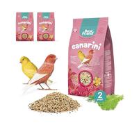 Best Friend Mangime Completo per Canarini con Ravizzone, Semi di Finocchio e Lattuga, Confezione da 2 pacchi. Mangime per gli uccelli con Ingredienti Naturali, Qualità 100% Made in Italy