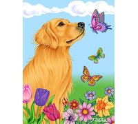 Best of Breed Golden Retriever farfalla casa bandiera
